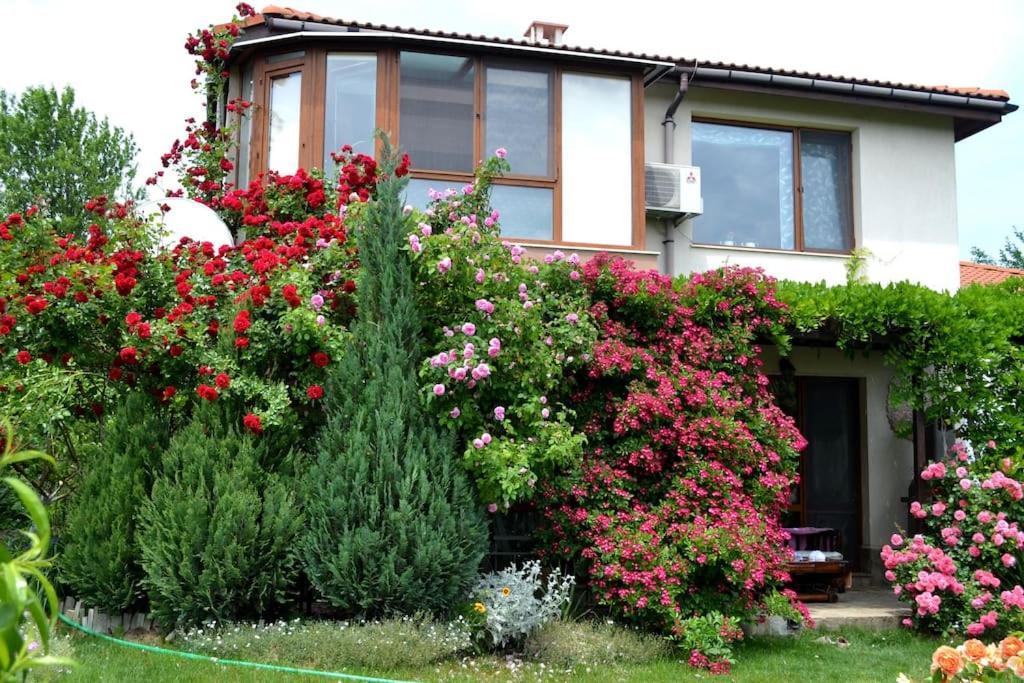 Sea & Garden Villa Varna Bagian luar foto