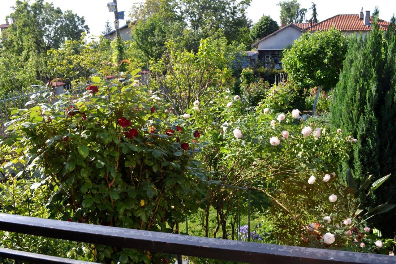 Sea & Garden Villa Varna Bagian luar foto