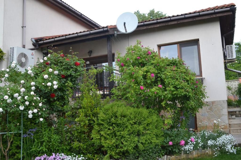 Sea & Garden Villa Varna Bagian luar foto