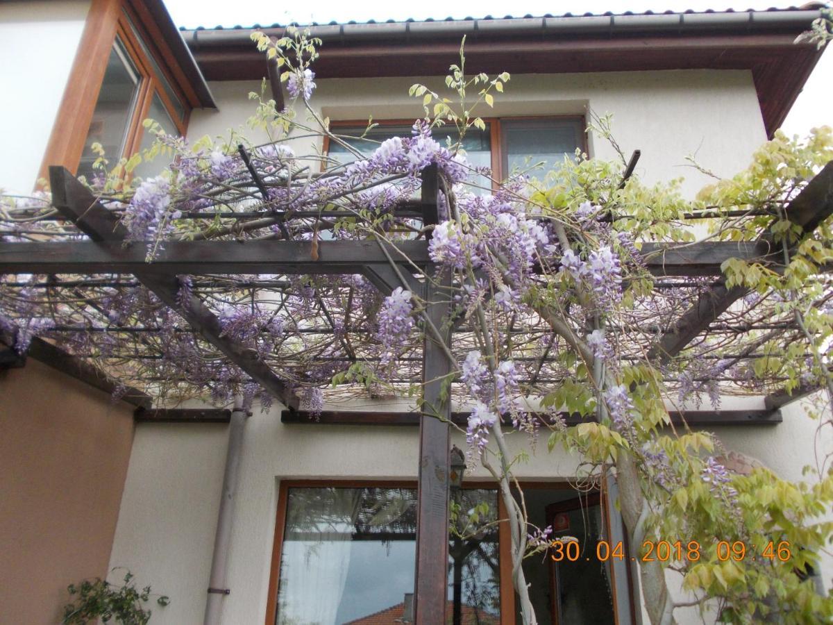 Sea & Garden Villa Varna Bagian luar foto